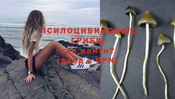 соль ск Алексин