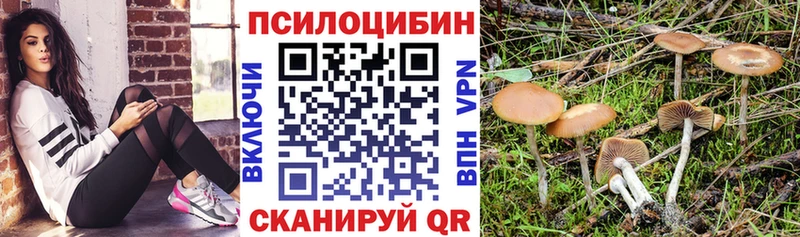 Галлюциногенные грибы мухоморы  Купить закладки  Ворсма 